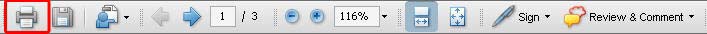 Print button on menu bar