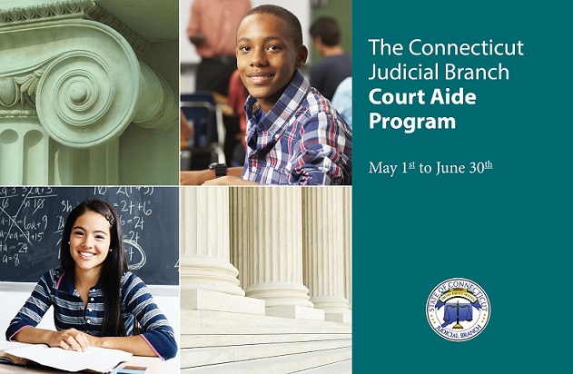 Court Aide Brochure