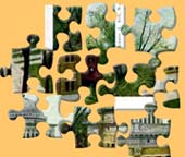 Puzzle pieces